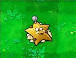 Earth starfruit