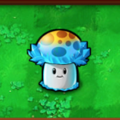 Ice glow mushroom