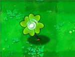 Lucky clover