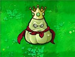 Shadow squash king