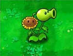 Pea sunflower