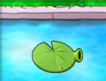 Pea water lily