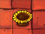 Sunflower pot