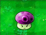 QQ bouncy puff-shroom